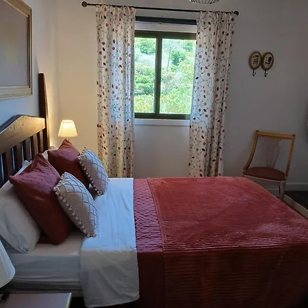 Casa Diego アパート Tegueste